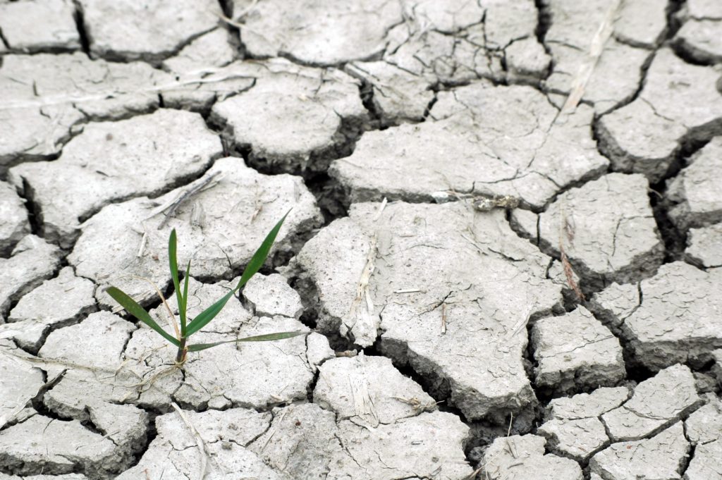 Presentación de ‘Orientaciones Pastorales sobre desplazados climáticos’