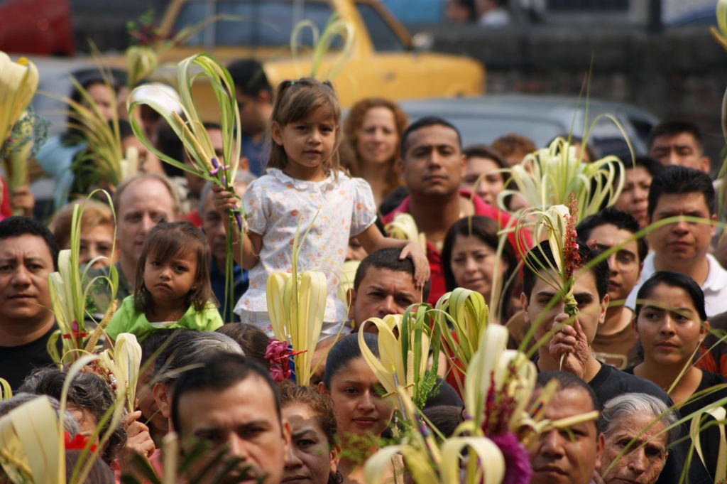 Domingo de Ramos: Reflexión de Mons. Enrique Díaz