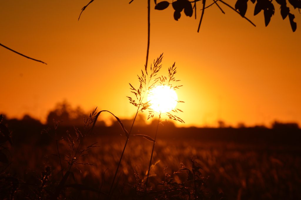 ‘Laudato Si’ 2021: Expertos del Vaticano entre los ponentes