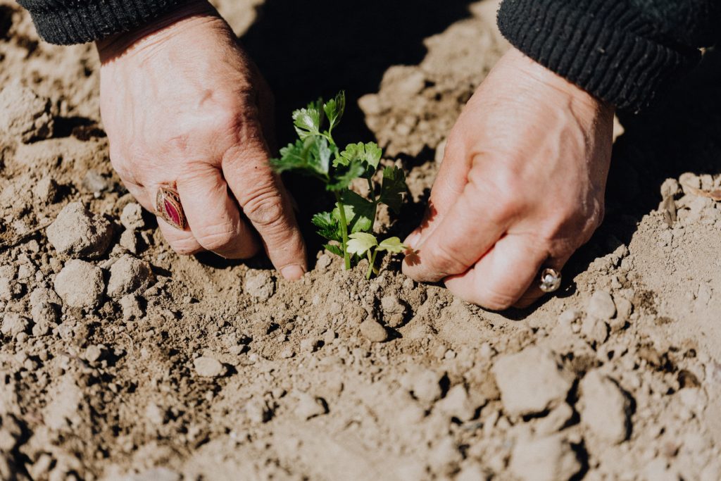 Semana Laudato Si’: Pistas para una conversión ecológica integral