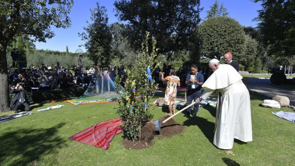 El Papa llama a parar «la guerra mundial contra la creación»