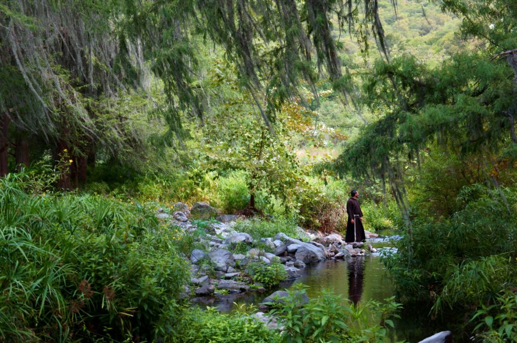 Scottish Bishops Create Care of Creation Office