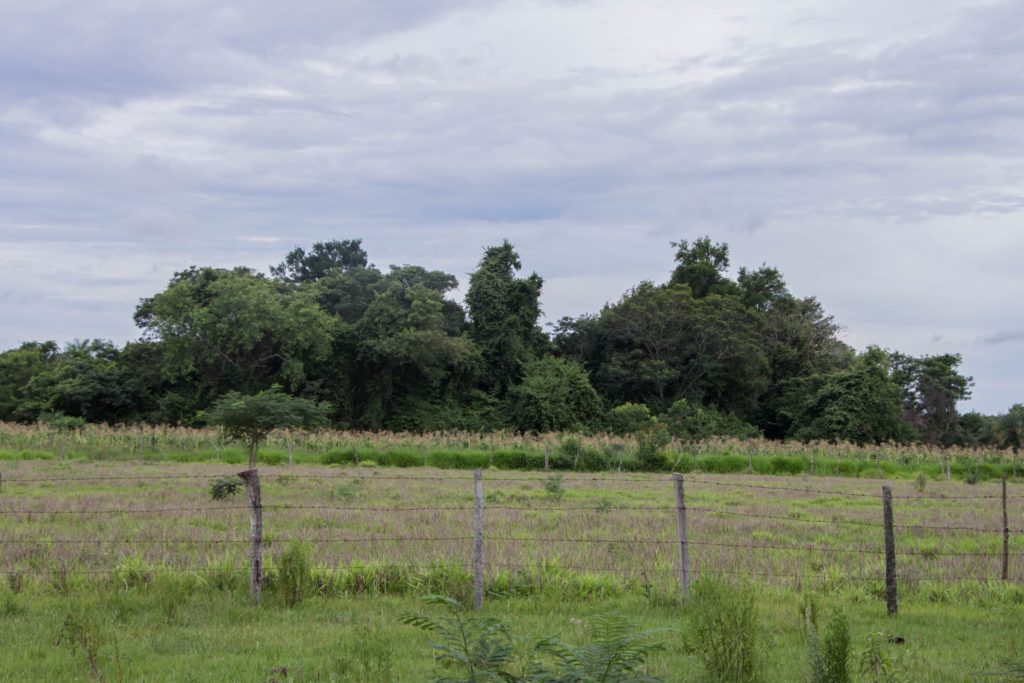 Paraguay: Pastoral social denuncia reforma del Estatuto agrario