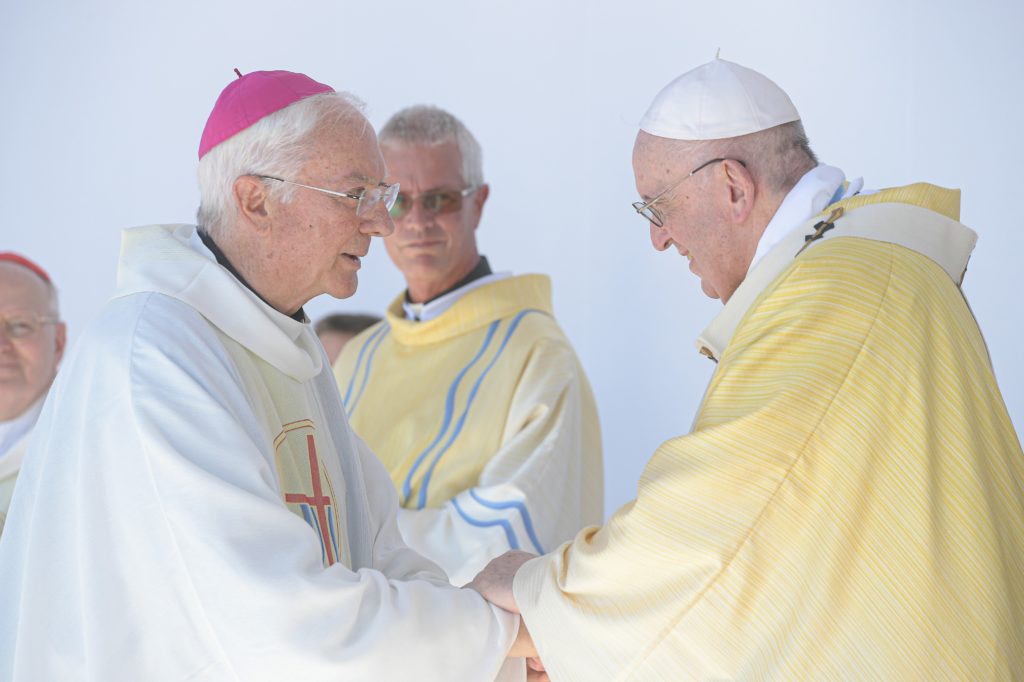 Tiempo Creación: Papa llama a unidad de los cristianos