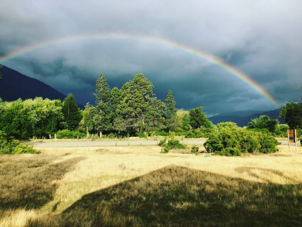 US Bishops Emphasize Ecological Conscience