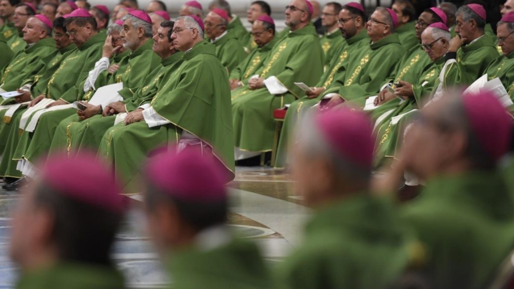 El Papa traspasa a los obispos competencias de la Santa Sede