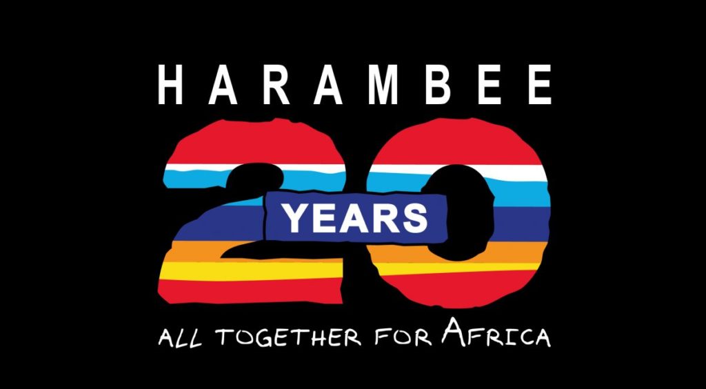 Idee innovative per le sfide globali: i 20 anni di Harambee