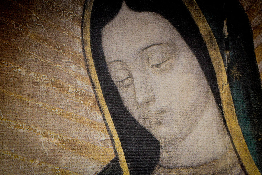 Santa Misa en honor de Nuestra Señora de Guadalupe presidida por el Papa Francisco