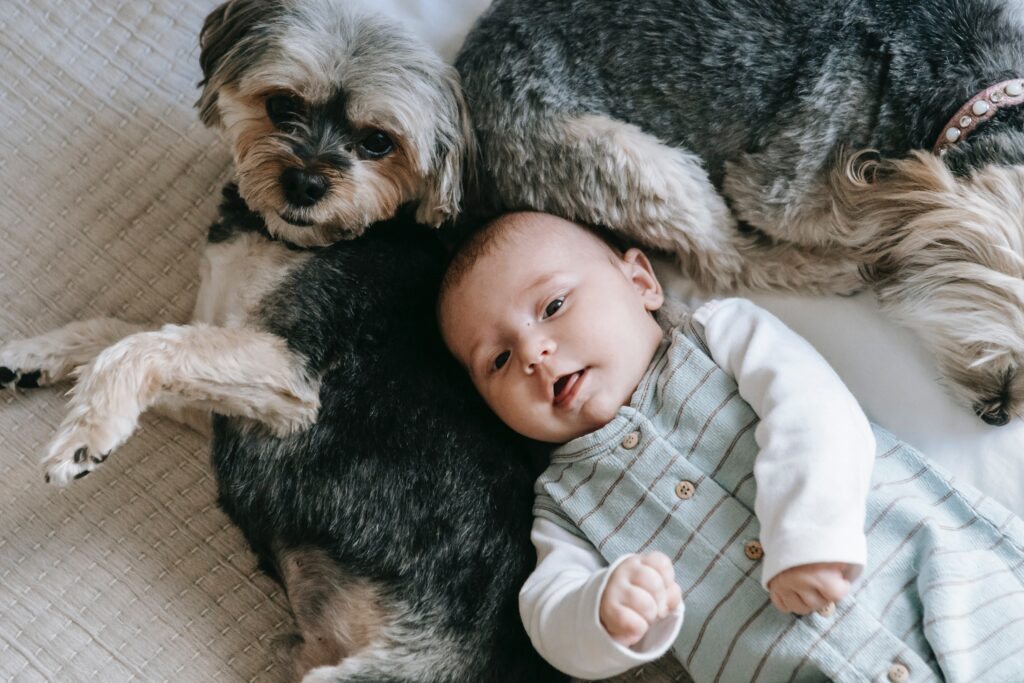 Un perro vale más que un niño