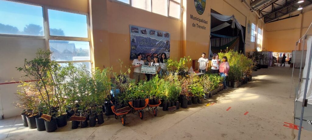 Aprendizaje y servicio solidario: CLAYSS impulsa un programa con foco en ecología integral