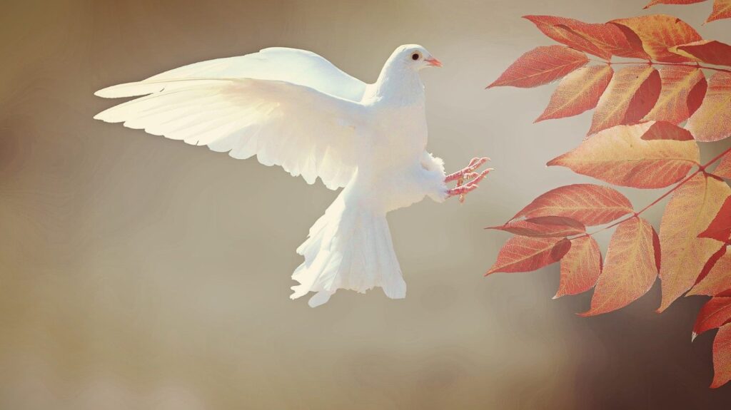 World Day of Peace 2024