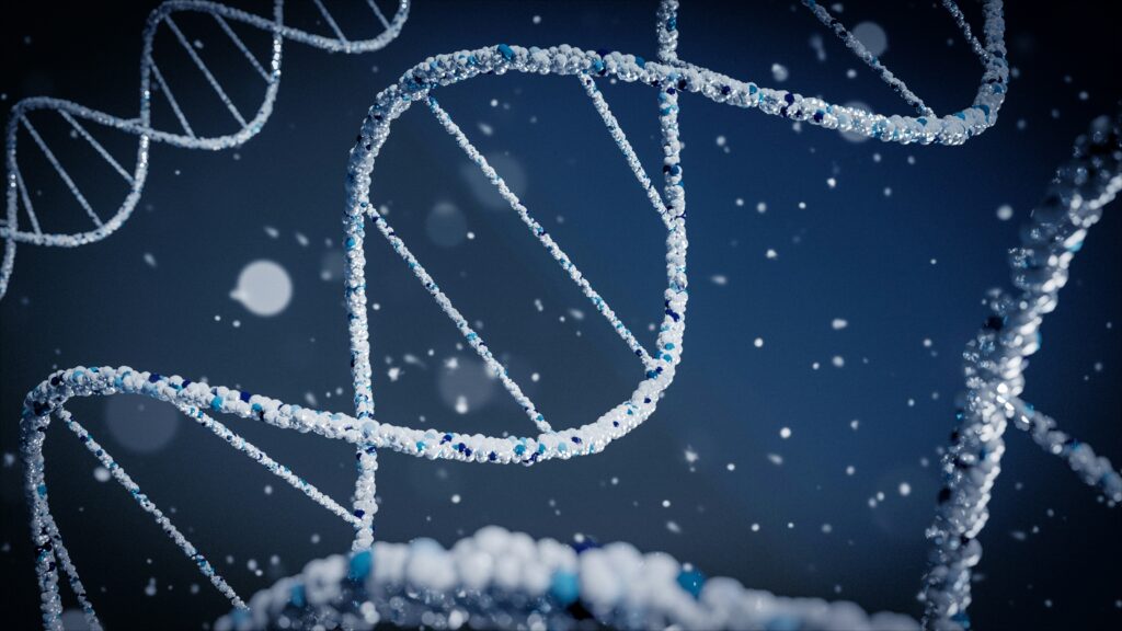 DNA, chiave dell’identità genetica