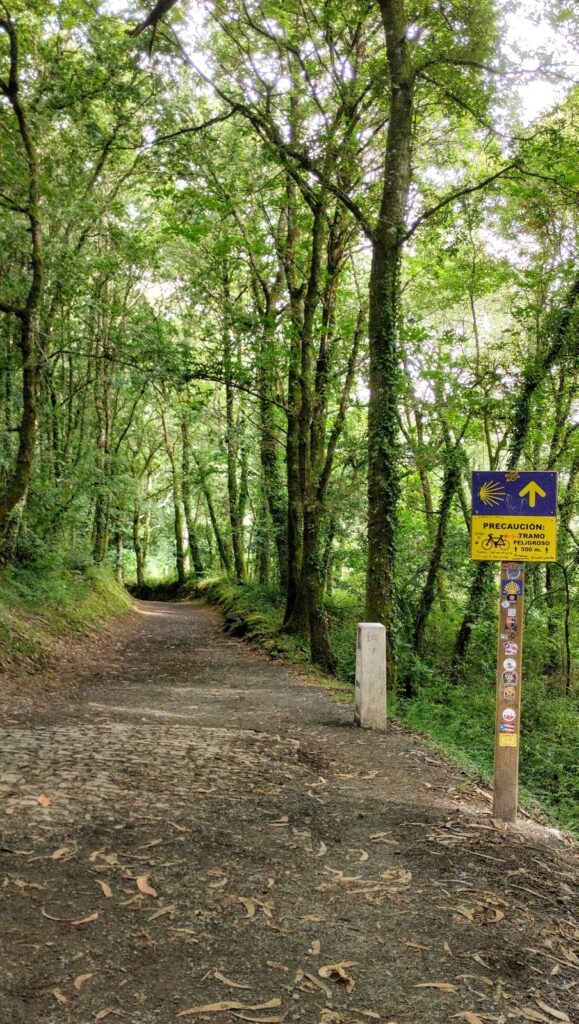 Peregrinos no turistas