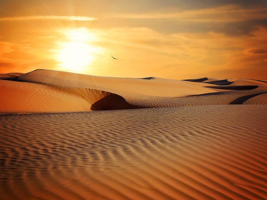 Lo Spirito lo guidava nel deserto, mentre era tentato: Padre Jorge Miró