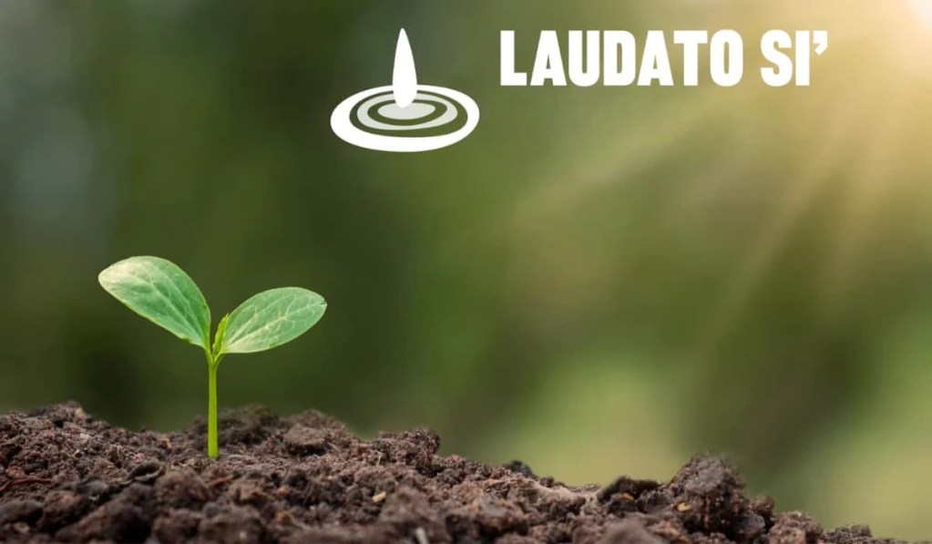 Ten Years After Laudato Si’: Why Nonviolence Is Key to Ecological Justice