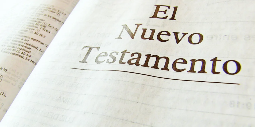 The New Testament Step by Step