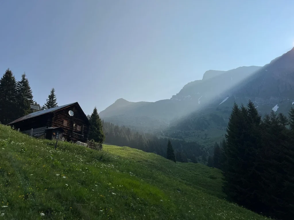 Reflexión de Mons. Enrique Díaz: El deseo de paz de ustedes se cumplirá