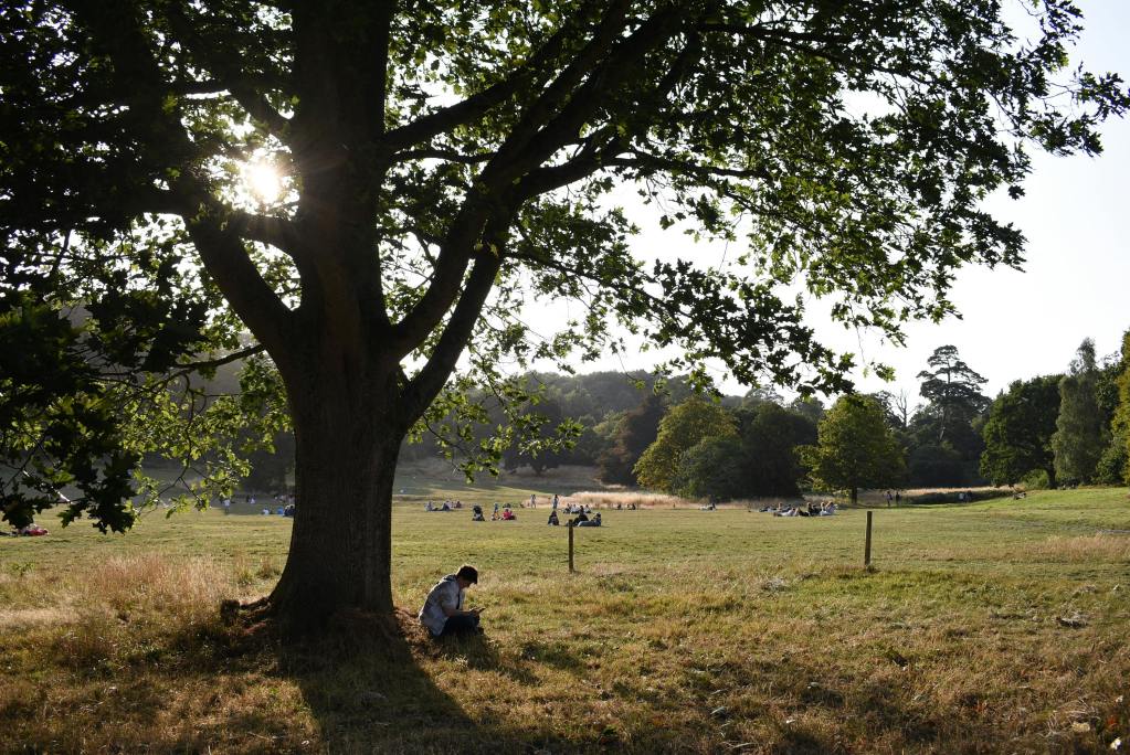 En plural hacia el encuentro