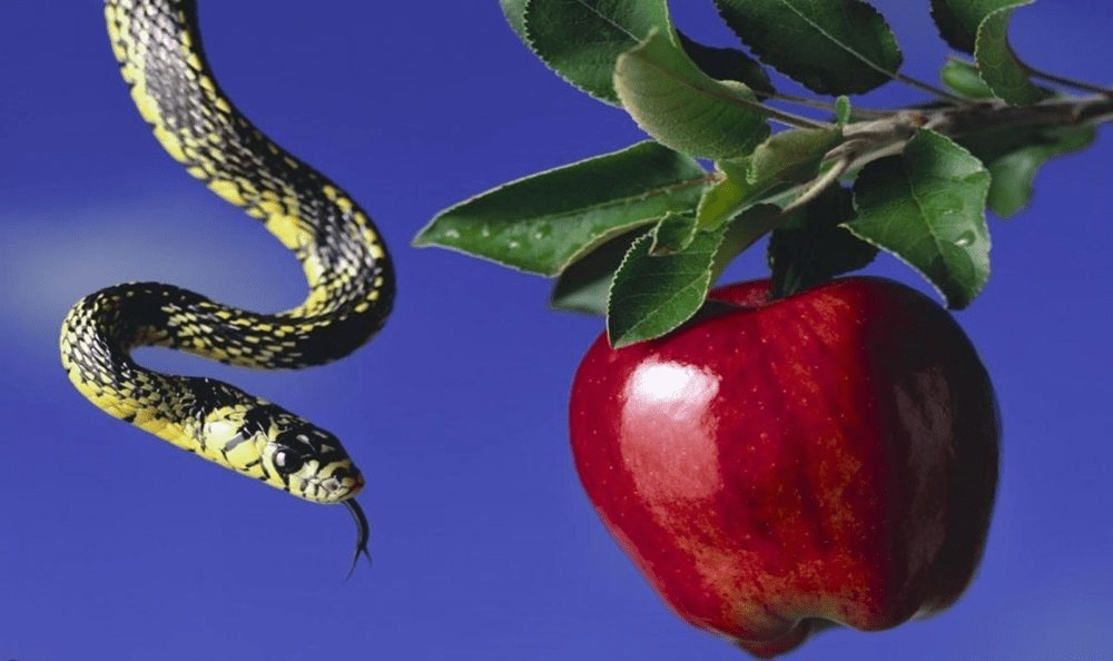 Immortality: A Christian Transhumanism?