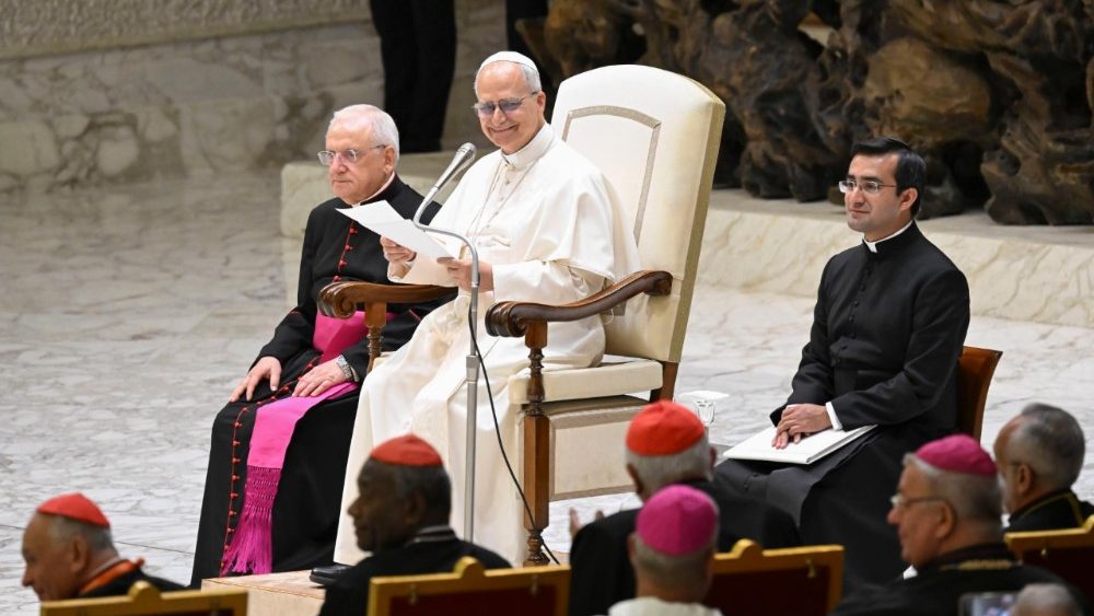 Leo XIV: “The new saints, luminous signs of hope and love”