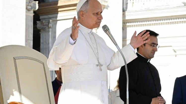 Pope Leo XIV: Fraternity Is Not an Impossible Dream