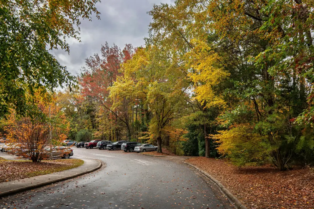 November: The Month That Unites Heaven and Earth