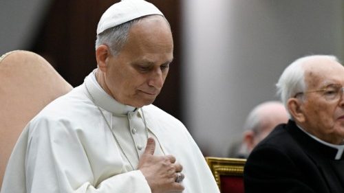 «Sed vosotros todo suyo», ¡Sed santos!