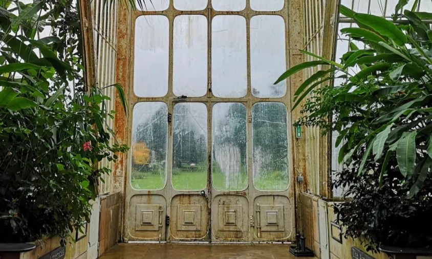 Cuando el retiro se convierte en creación