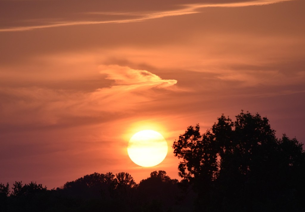 You are the light of the world: Commentary by Fr. Jorge Miró