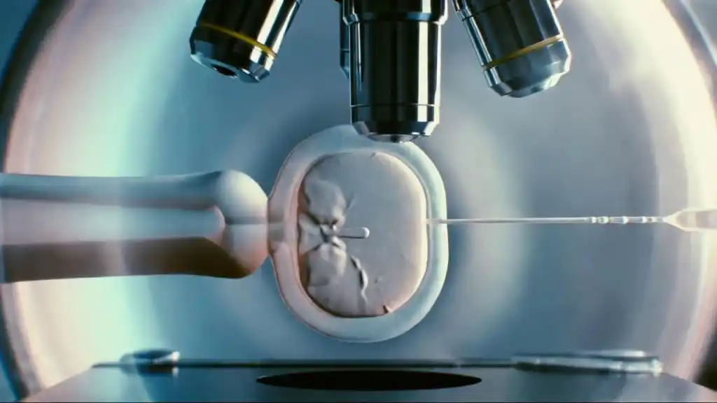 Los graves riesgos de la Reproducción Médicamente Asistida