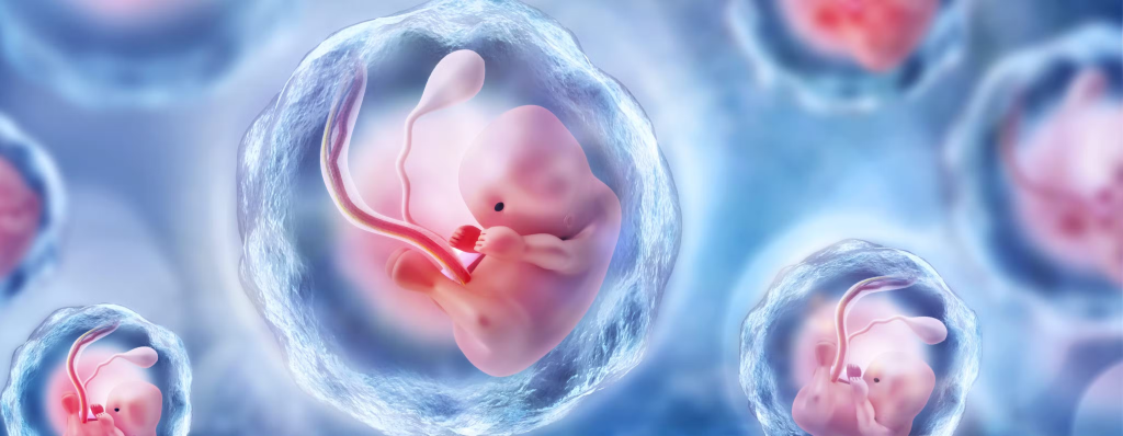 The Dilemma of Frozen Human Embryos