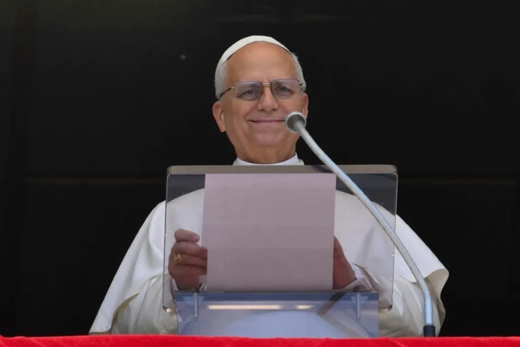 The Pope: The Good Shepherd calls us by name, guides us, comes to find us when we are lost, and binds up our wounds
