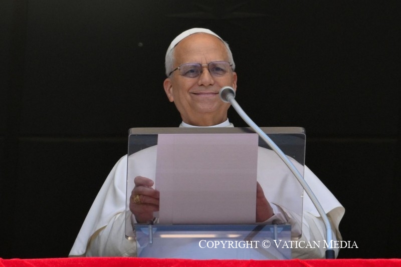 El Papa: El Buen Pastor nos llama por nuestro nombre, nos guía viene a buscarnos cuando estamos perdidos y venda nuestras heridas