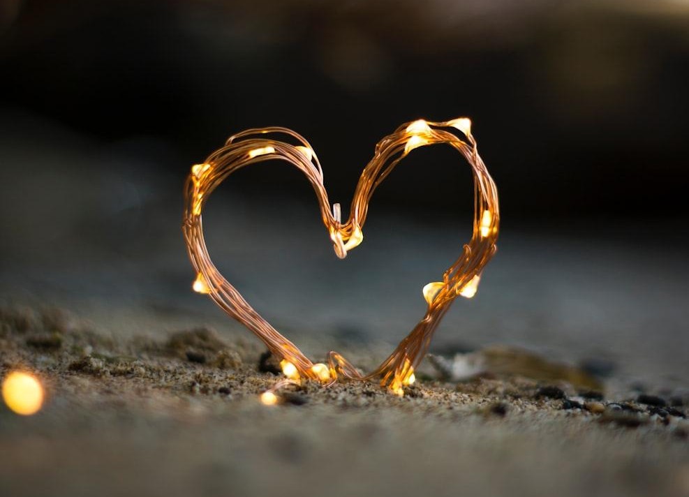 El logos de la violencia y el Logos del amor