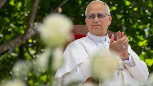 Cicatrici nella “Terra dei Fuochi”: il grido di Leone XIV ad Acerra contro il veleno e l’indifferenza
