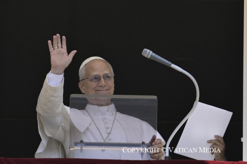 El Papa: La Trinidad nos hace amar todo y a todos